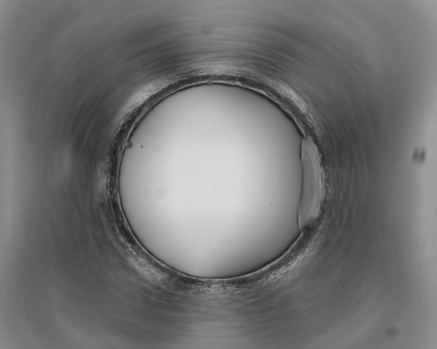 X0000096710922200802261625