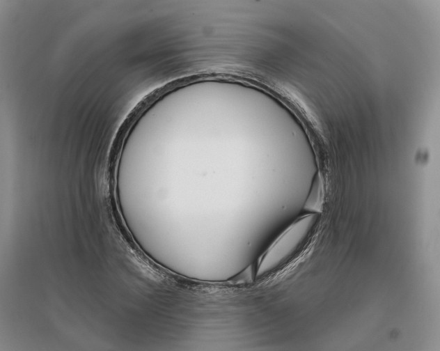 X0000096710924200802261625