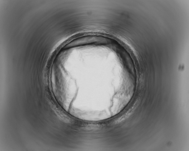 X0000096710925200802261625