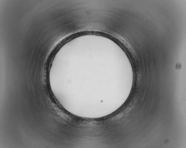 X0000096710926200802261625