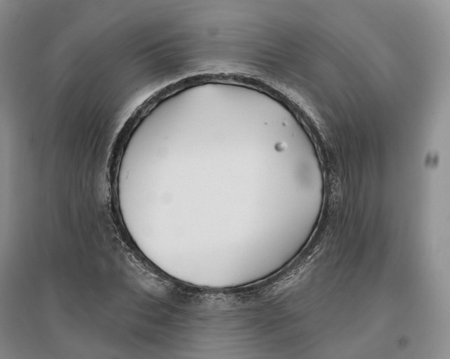 X0000096710927200802261625