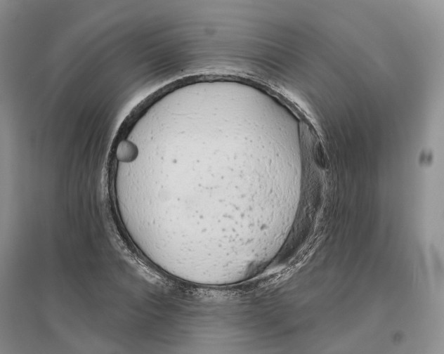 X0000096710928200802261625