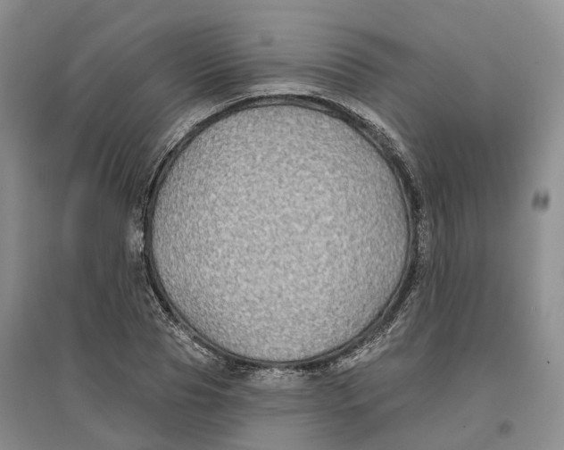 X0000096710929200802261625