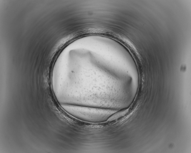 X0000096710930200802261625