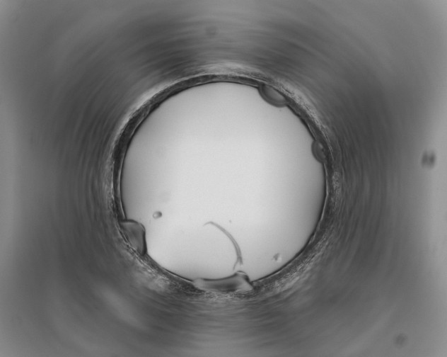 X0000096710931200802261625