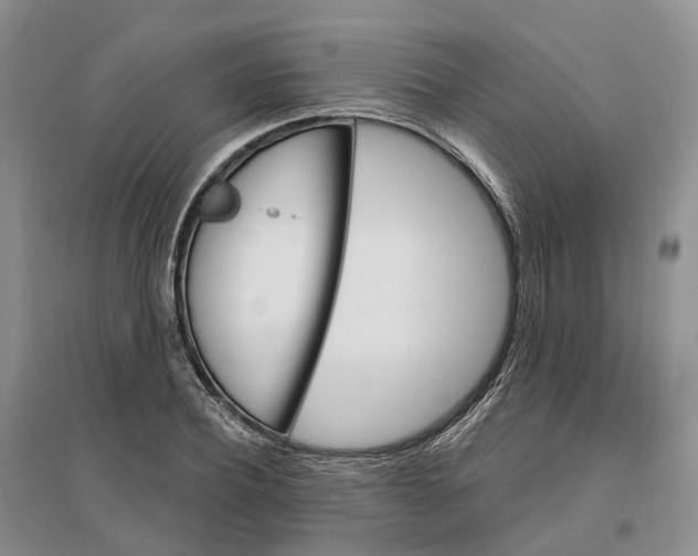 X0000096710932200802261625