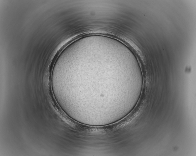 X0000096710933200802261625