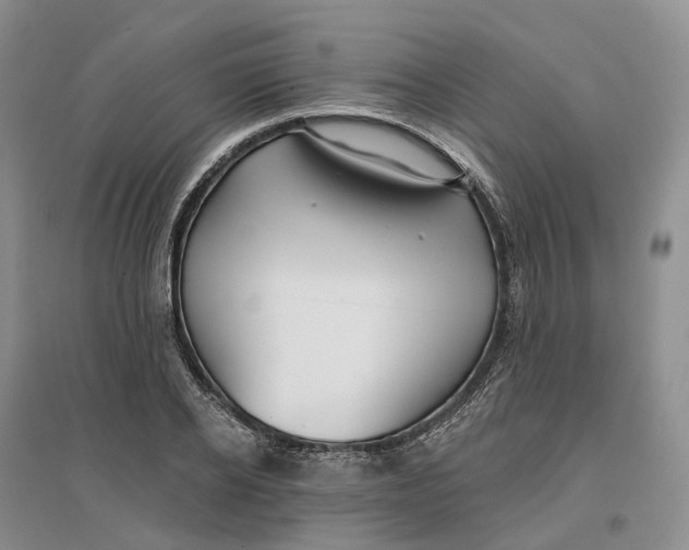 X0000096710934200802261625