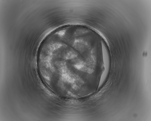 X0000096710935200802261625