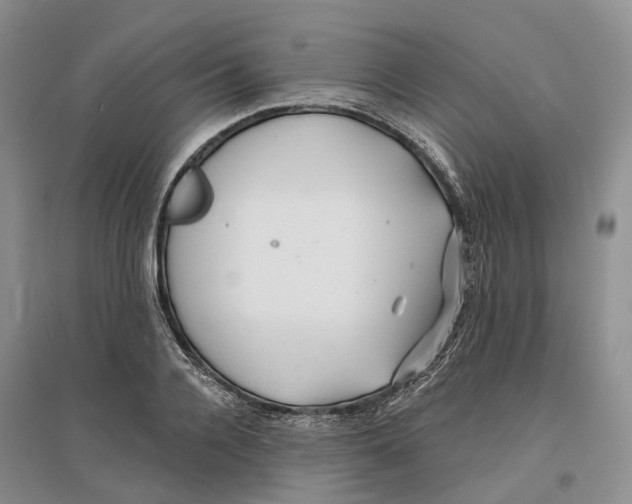 X0000096710936200802261625