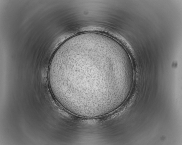 X0000096710937200802261625