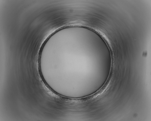 X0000096710941200802261625