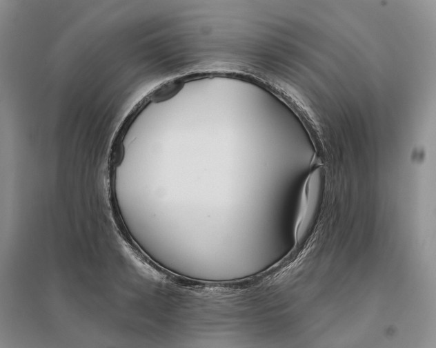 X0000096710942200802261626