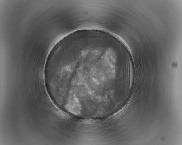 X0000096710943200802261626