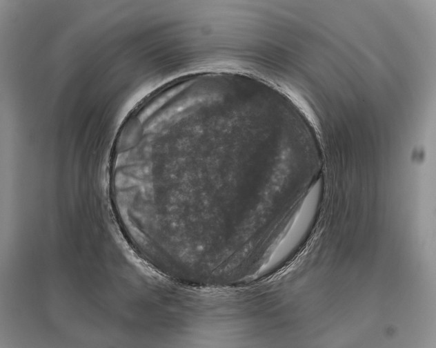 X0000096710944200802261626