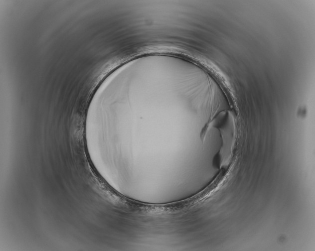 X0000096710945200802261626