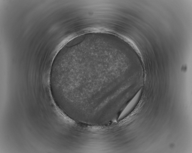 X0000096710946200802261626