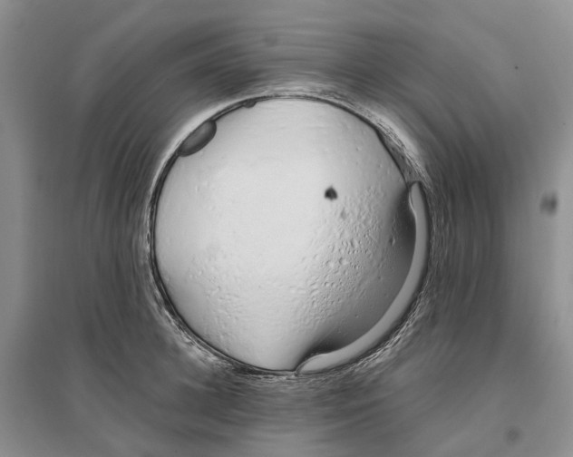 X0000096710948200802261626