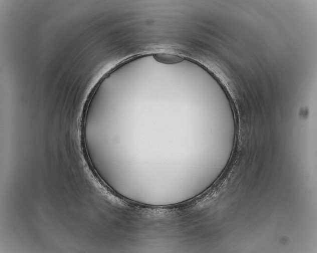 X0000096710949200802261626