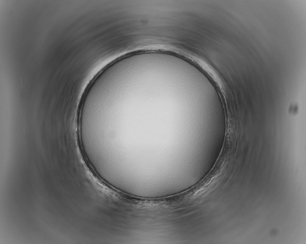 X0000096710951200802261626