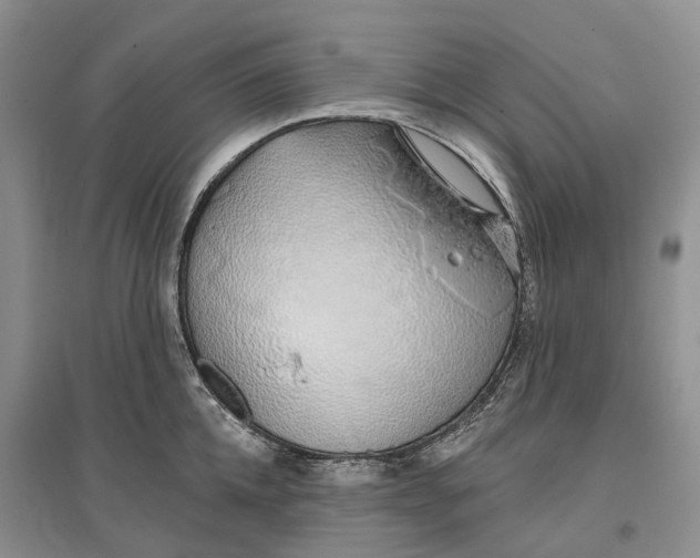 X0000096710952200802261626