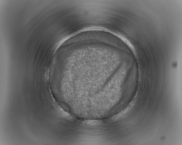 X0000096710953200802261626