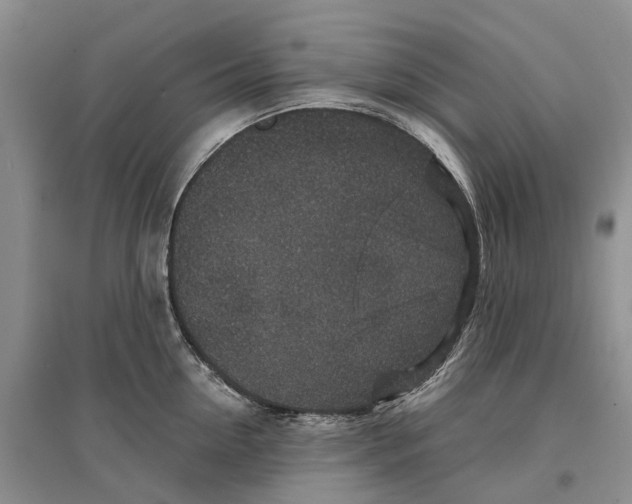 X0000096710954200802261626