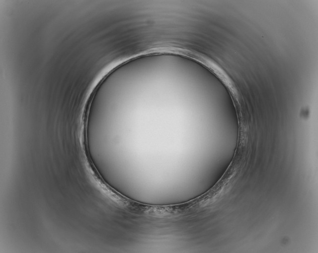 X0000096710955200802261626