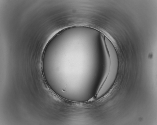 X0000096710956200802261626