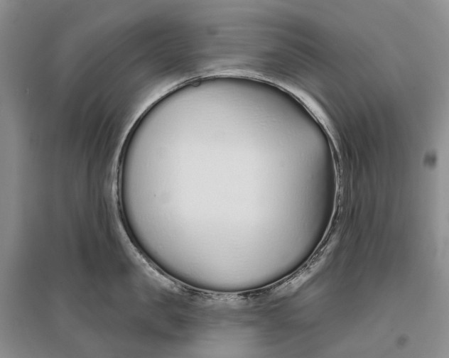 X0000096710957200802261626