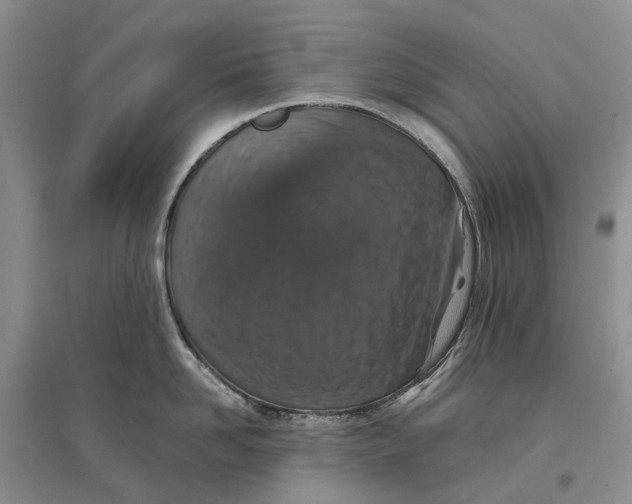 X0000096710958200802261626