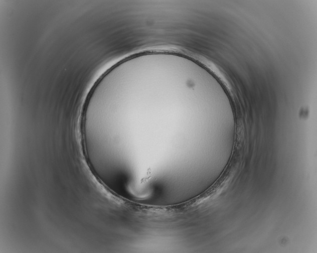 X0000096710959200802261626