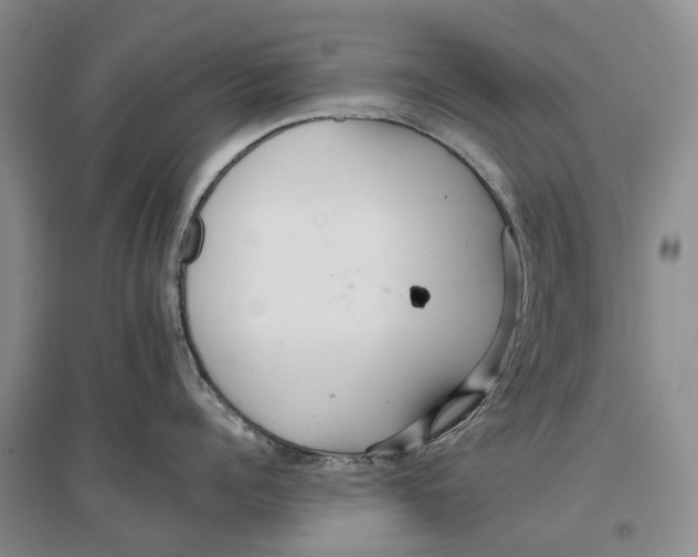 X0000096710960200802261626