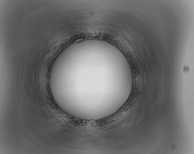 X0000096710961200802261625