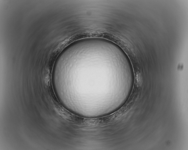 X0000096710963200802261625