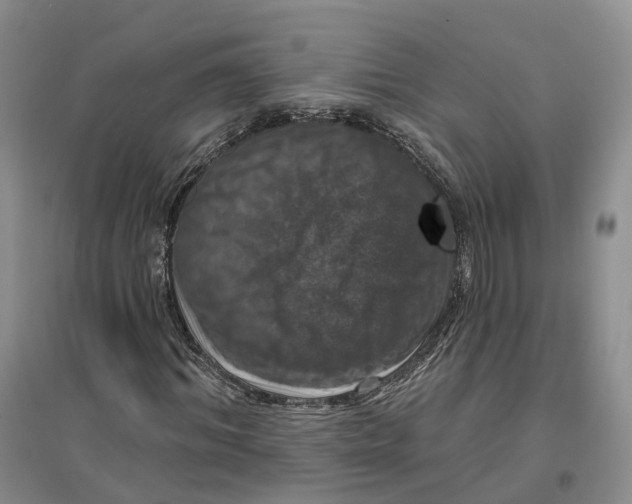 X0000096710964200802261625