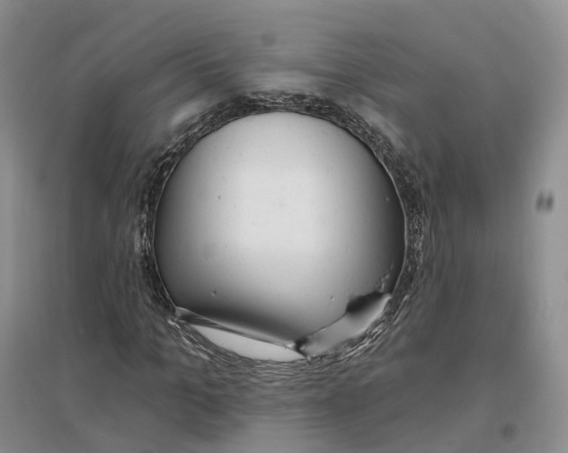 X0000096710965200802261625