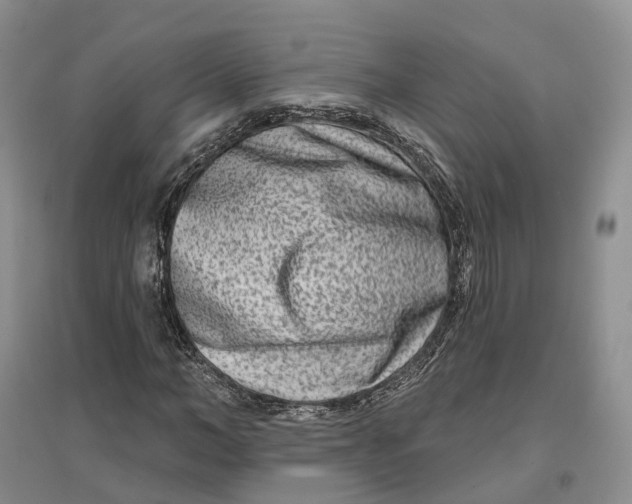 X0000096710966200802261625