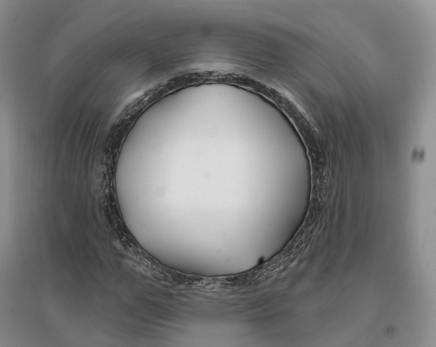 X0000096710967200802261625