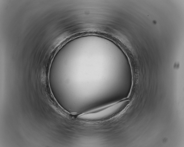 X0000096710969200802261625