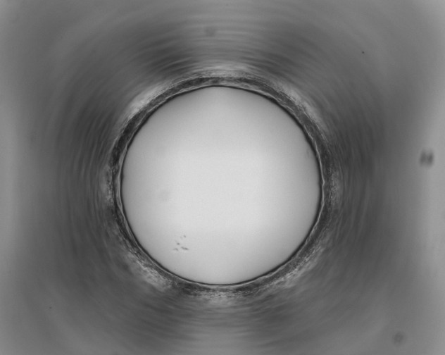 X0000096710970200802261625