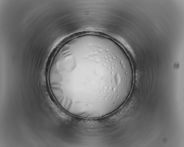 X0000096710972200802261625