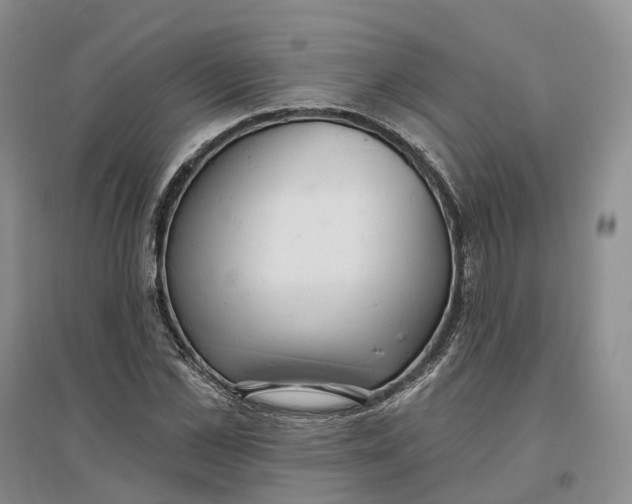 X0000096710973200802261625