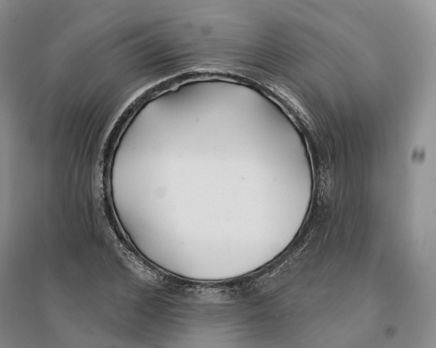 X0000096710976200802261625