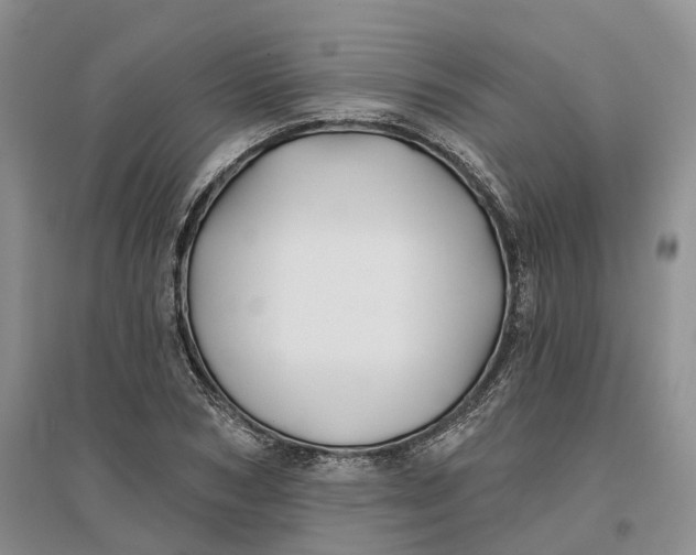 X0000096710978200802261625