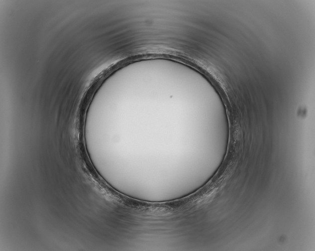 X0000096710979200802261625