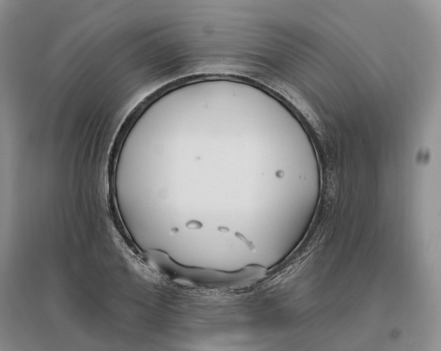 X0000096710980200802261625