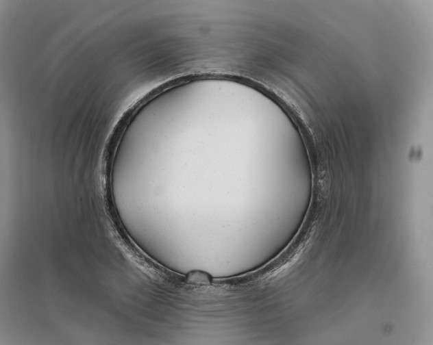 X0000096710981200802261625