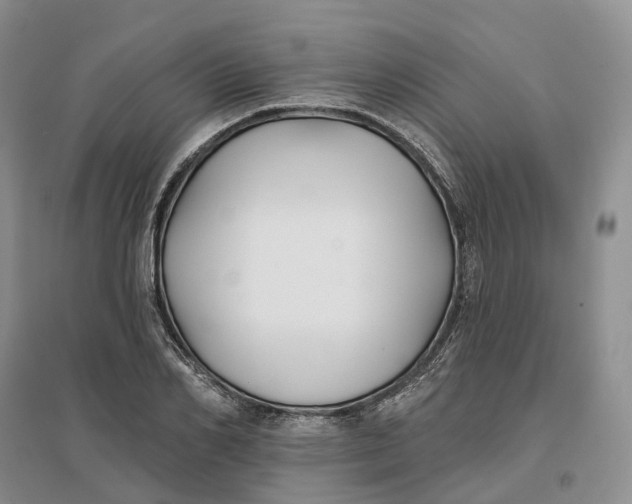 X0000096710982200802261625