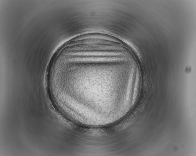 X0000096710983200802261625